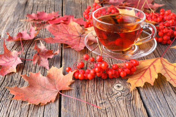 Wall Mural - fall creative art concept, maple leaves on table