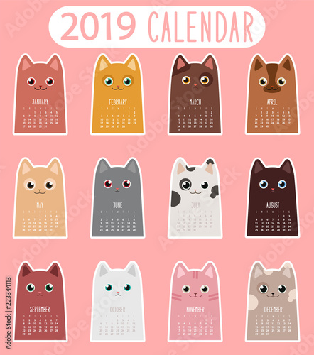 Photo Cat calendar 2019