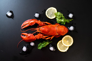 Wall Mural - red lobster with ice and lemon