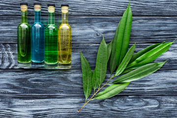 Canvas Print - row of colored bottles with natural herbal essential oils and twig with green leaves on wooden surface