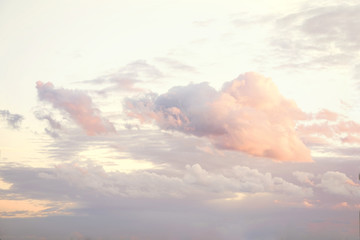 Wall Mural - cloud on the sunset sky background with a pastel color