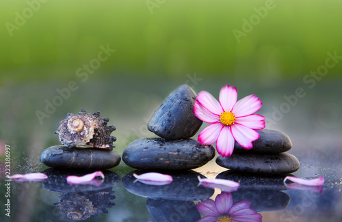 Black spa stones and pink cosmos flower isolated on green. © Swetlana Wall