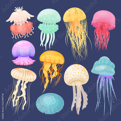 Ocean jellyfish bright set on dark blue Poster Mural XXL