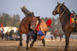 nomad men wrestling on horseback, traditional game of Er-Enish 