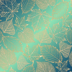 Autumn transparent skeleton leaves background