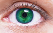 girl's green eye close up