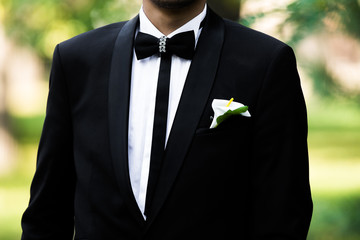 Poster - groom, a man in a black jacket, a white shirt and a bow tie