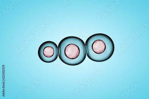 Fotografia Cells division process, Cell divides into two cells