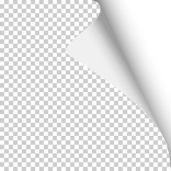 Wall Mural - Sheet of transparent paper with curled corner, soft shadow and white background under it. Template paper design. Vector illustration.