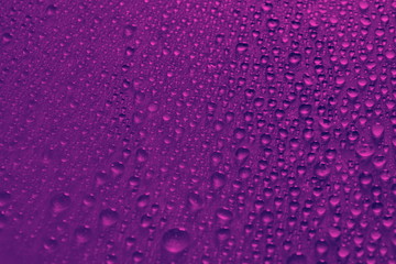 Wall Mural - water drops on violet color background texture