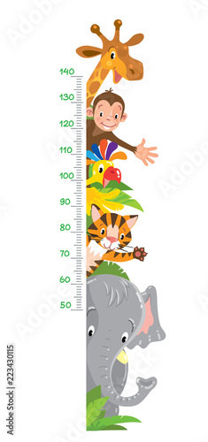 Fotografía Giraffe, monkey, tiger. Meter wall or height chart