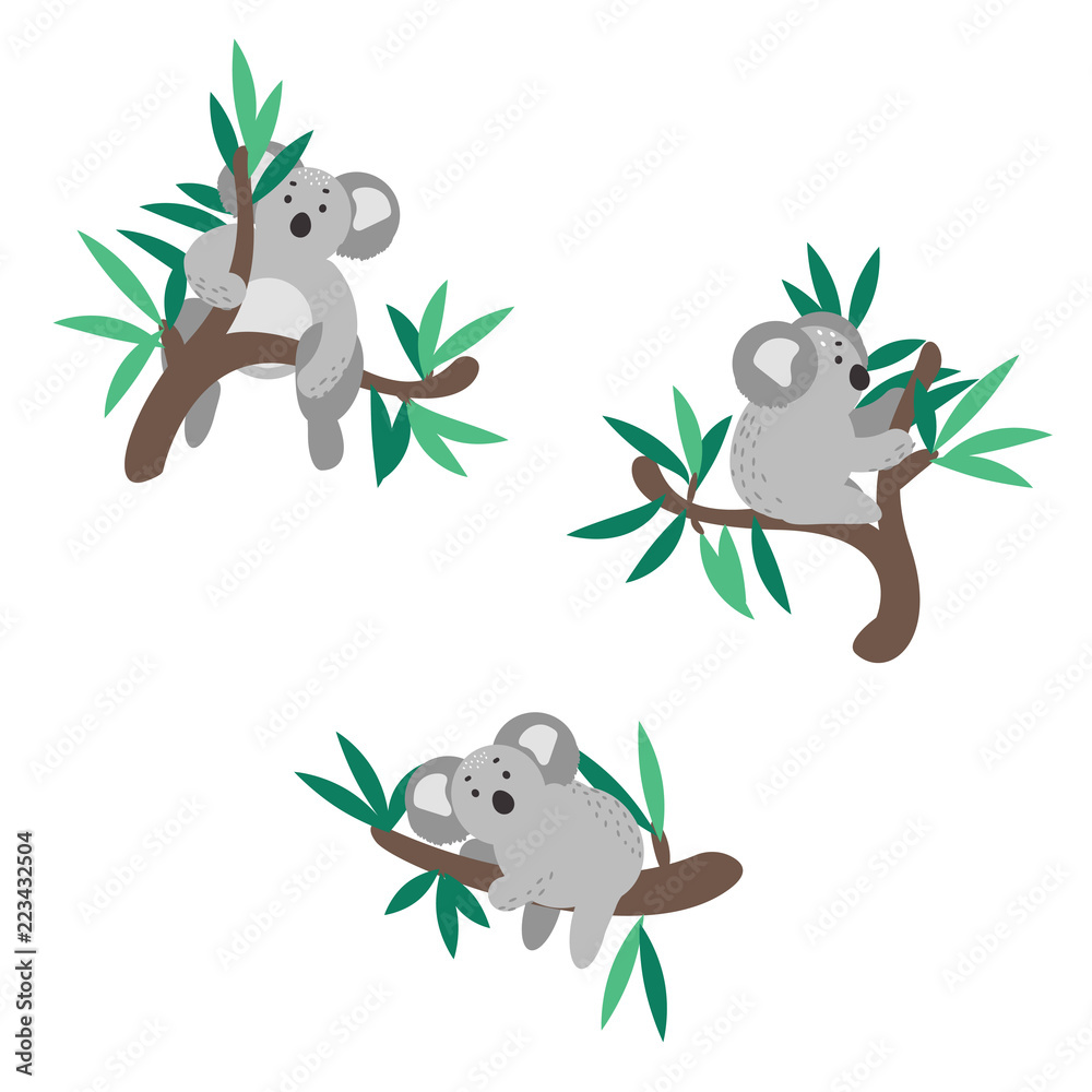 Cute koala bear set climbing on eucalyptus tree vector clipart. Stock ...
