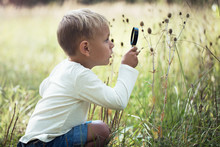 A Small Boy Explores With A Magnifying Glass Plants And Insects
