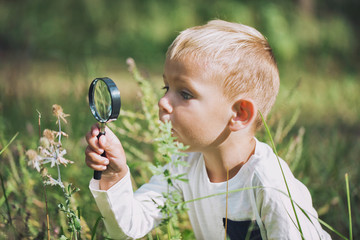 A small boy explores with a magnifying glass plants and insects