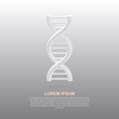 DNA helix with shadow. White 3d DNA spiral on white background. Vector illustration EPS10.