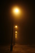 © VLADIMIR - Street lamps in a fog