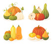 Colorful pumpkin set