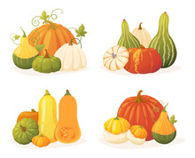 Colorful Pumpkin Set