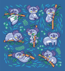 Wall Mural - Koala a native Australian animal in different poses. Print design.