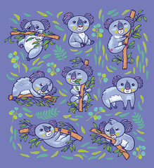 Wall Mural - Koala a native Australian animal in different poses. Print design.