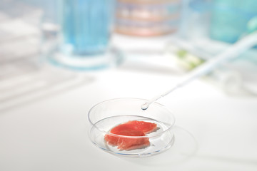 Meat cultured in laboratory conditions