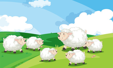 Wall Mural - a group of sheep in field