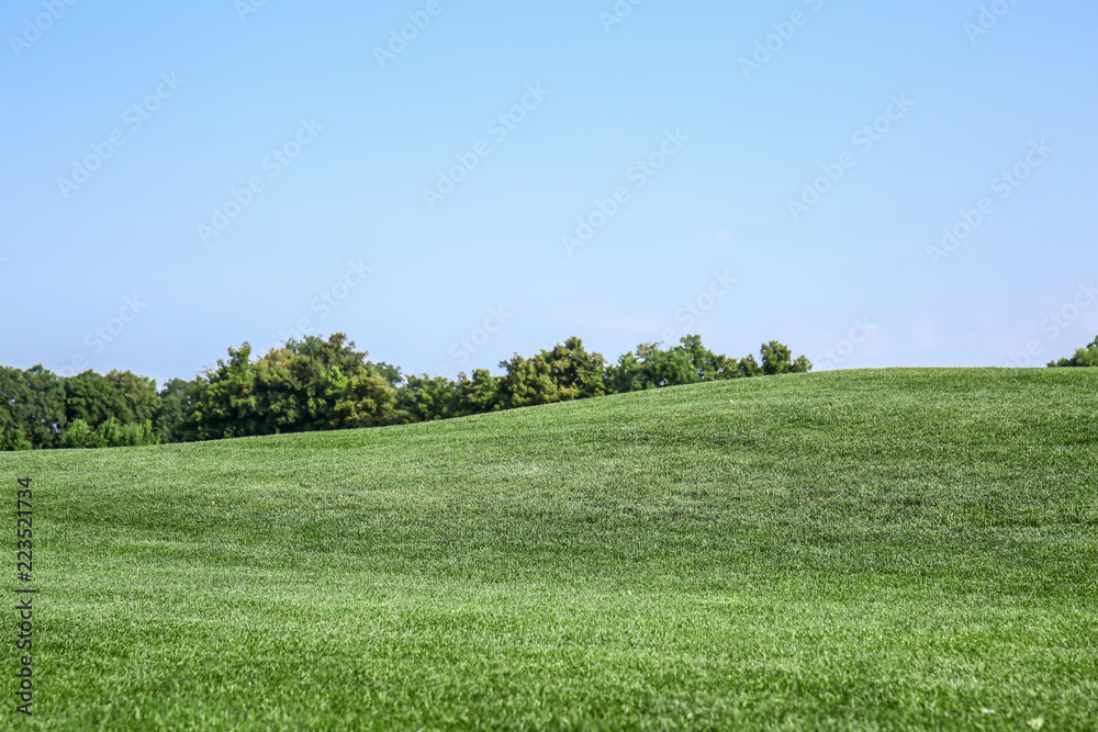 Beautiful green lawn in park on sunny day