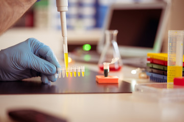 Poster - PCR strip in genetic laboratory