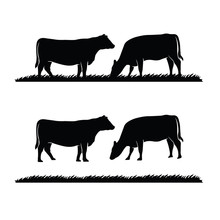 Vintage Cattle / Beef Logo Design Inspiration Vector