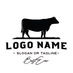 vintage cattle / beef logo design inspiration vector