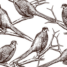 Seamless Pattern With Pheasants.