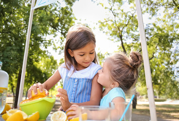 Little girls preparing fresh lemonade in park