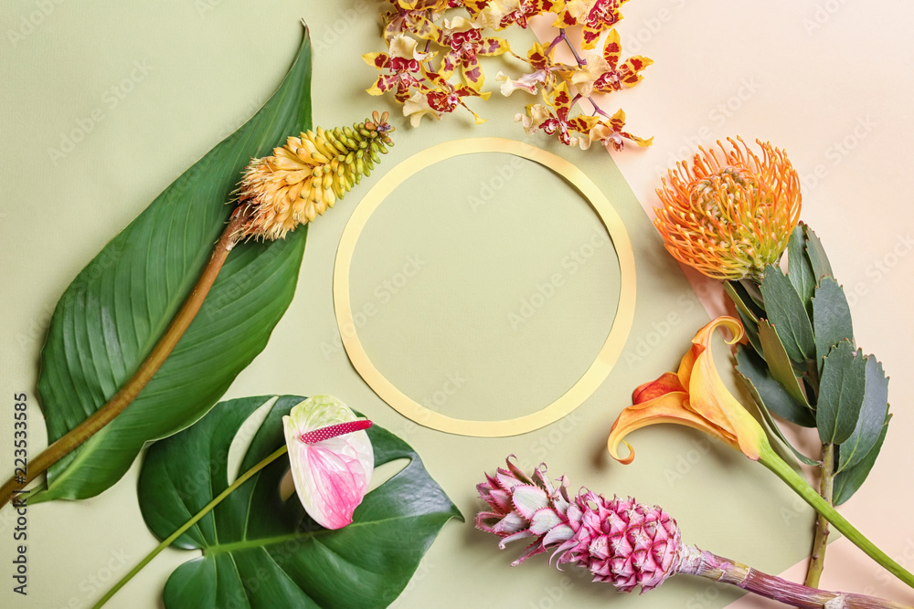 Composition with green tropical leaves, flowers and frame on color background
