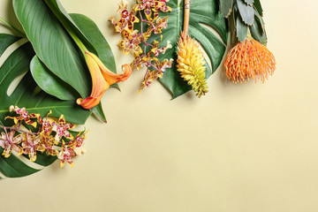 Beautiful tropical flowers and leaves on light background