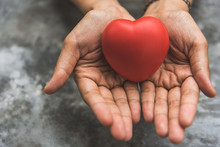 Close Up Female Hands Giving Red Heart As Heart Donor. Valentine Day Of Love Concept. Medical Ventilator And Heart Donator Charity. Sign Of Compassion And Healthy. Helping Hand In Freedom Life