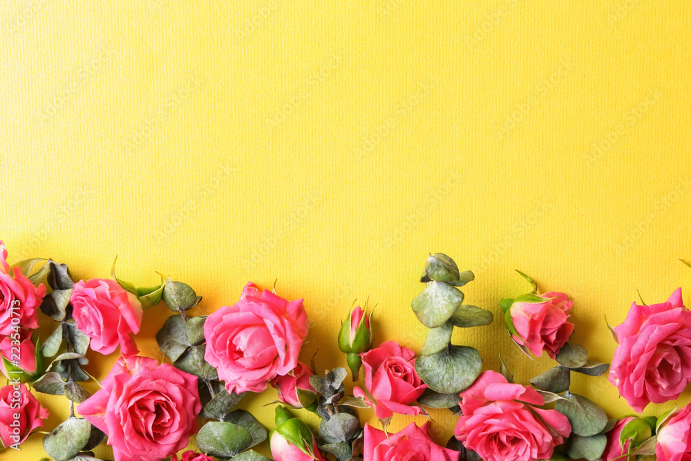 Beautiful blooming roses and leaves on color background