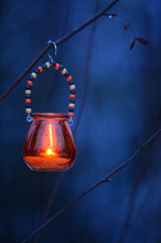Candle Lantern Hanging From Tree Branch.