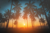 Fototapeta  - Silhouette coconut palm trees on beach at sunset. Vintage tone.