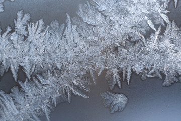 Wall Mural - Openwork frosty white icy pattern on winter glass pane.