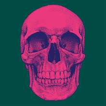 Hand Drawn Realistic Pink Skull On Green Background. Dotted Technique. Vector Template Design