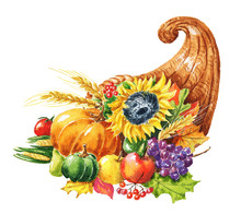 Hand Drawn Watercolor Cornucopia With Fall Season Harvest, Pumpkin, Sunflower, Apple And Grape. Food Illustration Isolated On White Background.