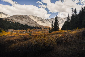 Wall Mural - Landscape views of Mayflower Gulch in Colorado during autumn. 