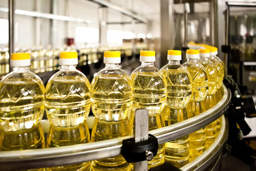 Sunflower oil in the bottle moving on production line. Shallow dof.