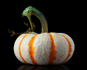 Single orange striped pumpkin isolated on black