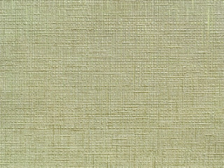 Wall Mural - texture of green wallpaper with a pattern