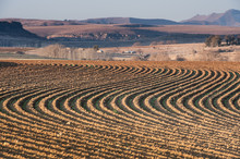 Plowed Fields Patterns