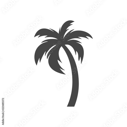 Fotografía Silhouette palm tree, Palm tree icon