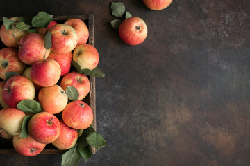 Canvas Print - Red apples in wooden box