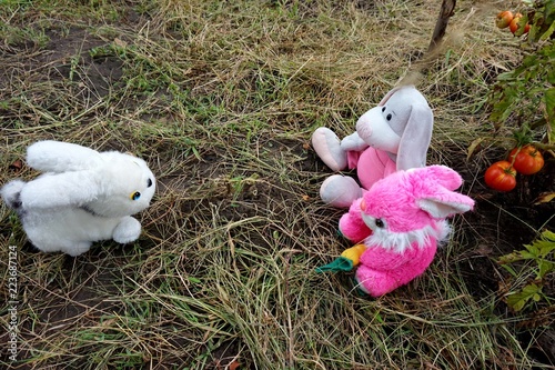 next soft toys