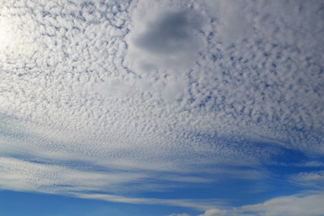 Wall Mural - A lot of white clouds of different types: cumulus, cirrus, layered high in blue sky on a sunny day
